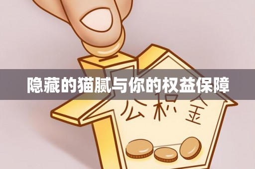 清河隐藏的猫腻与你的权益保障