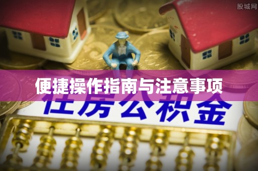 清河便捷操作指南与注意事项